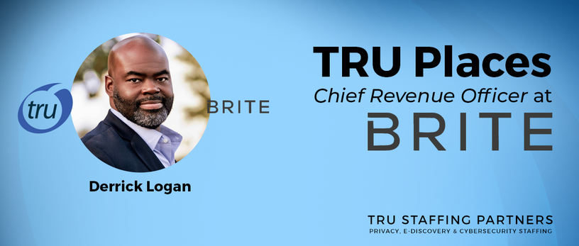 BRITE Adds New CRO to Revolutionary Data Discovery & Privacy Management Enterprise Software Firm